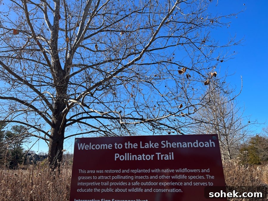 Lately Loving: Favorite Finds and Must-Have Picks This Month 6 lake shenandoah pollinator trail sign