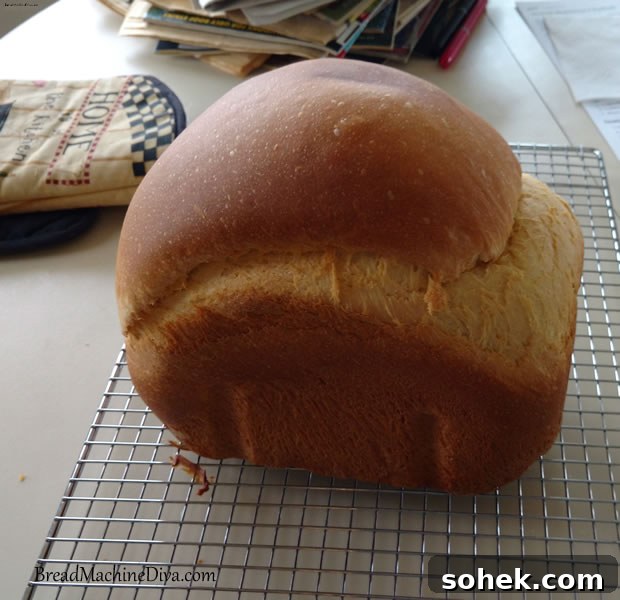 Challah Recipe for a Bread Machine: Soft, Braided Loaf 3 Too Tall