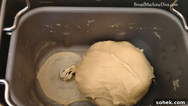 Challah Recipe for a Bread Machine: Soft, Braided Loaf 4 Challah dough