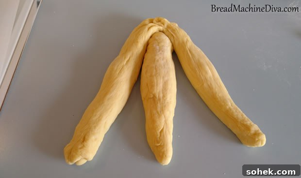 Challah Recipe for a Bread Machine: Soft, Braided Loaf 6 Challah Bread Braid