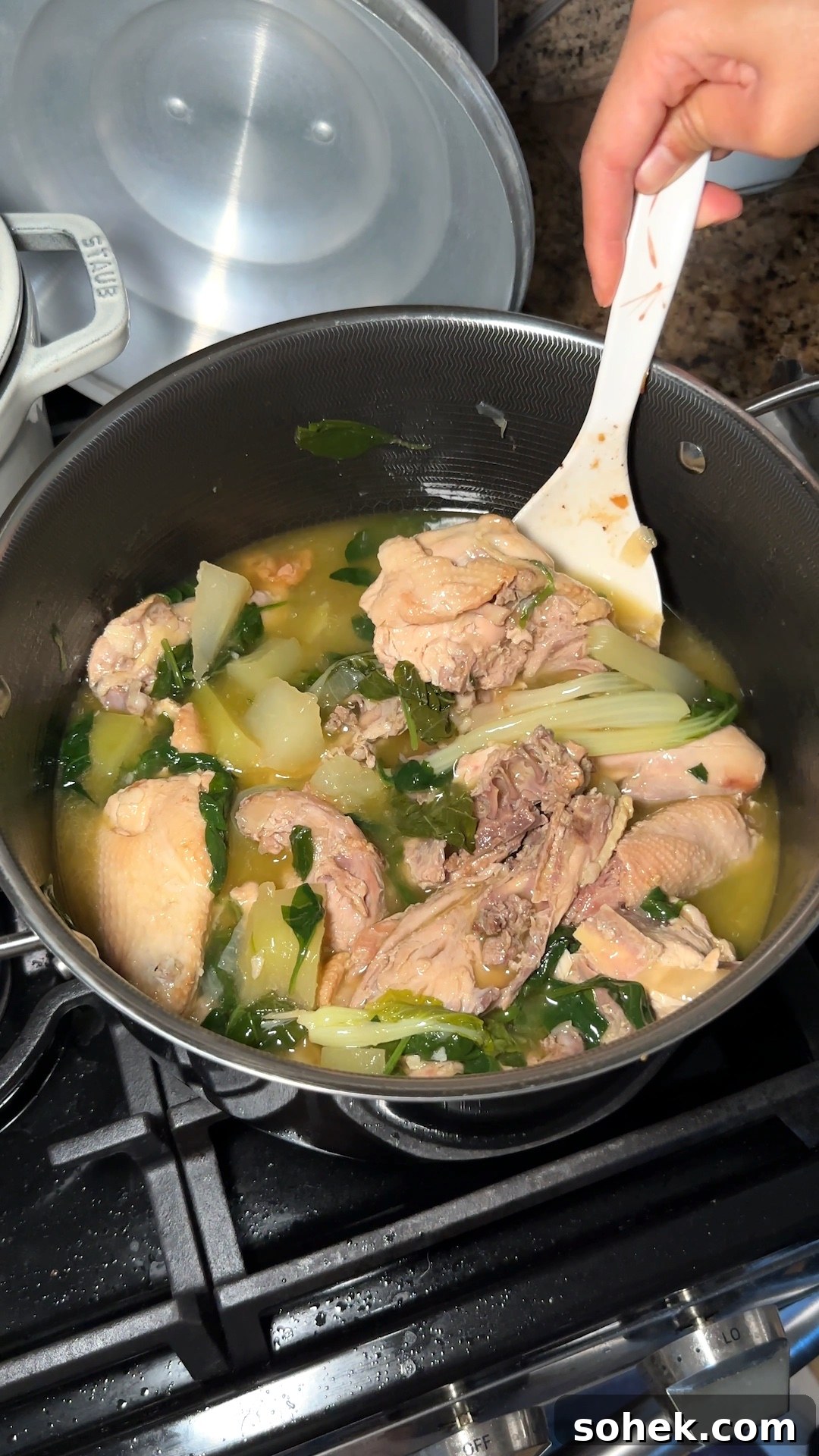 Chicken Tinola Recipe: Classic Filipino Chicken Ginger Soup 10 img 9505 9