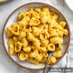 Creamy Butternut Squash Macaroni and Cheese Recipe 11 completed Butternut Squash Mac and Cheese plated