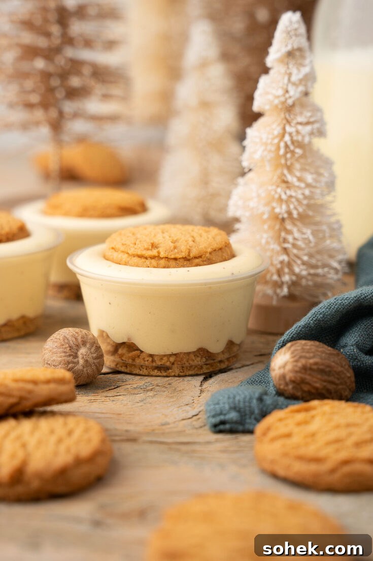 Image for Ginger Snap Eggnog Jello Pudding Shots