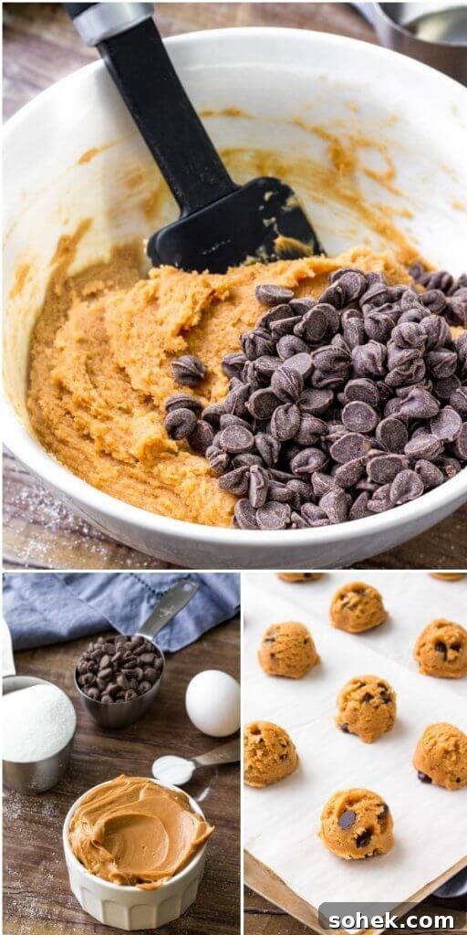 Flourless Peanut Butter Cookie Recipe - so easy & only 5 ingredients