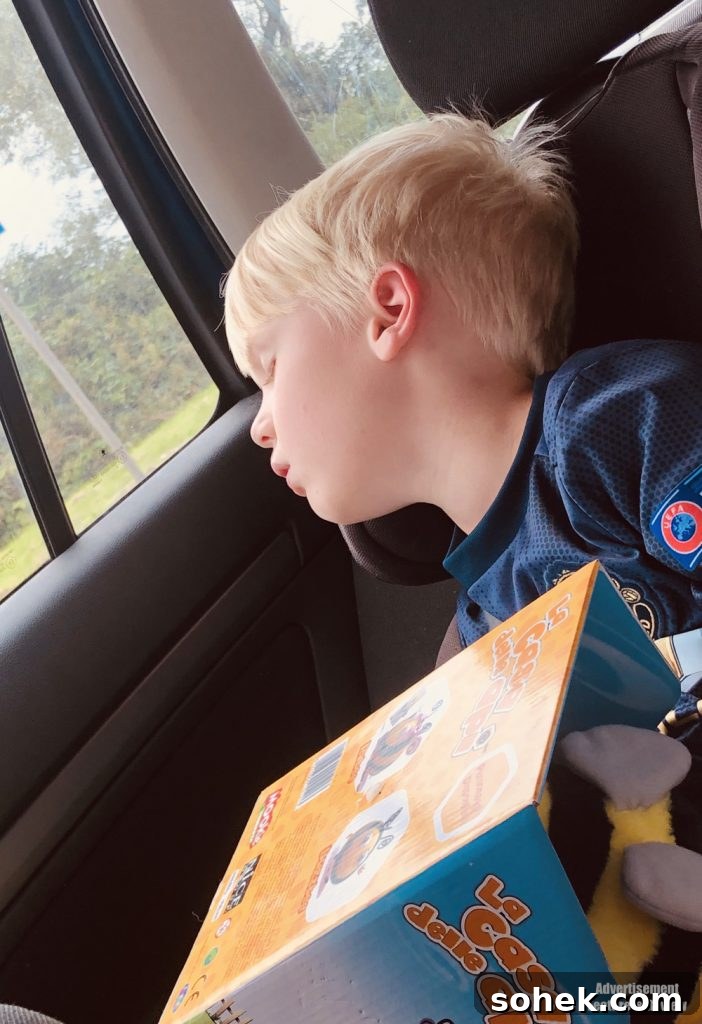 boy asleep in the car after day out at coral island blackpool