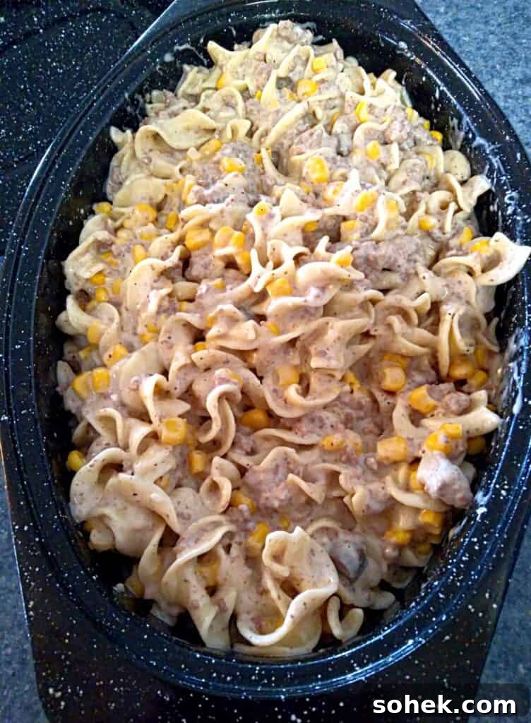 Amish country casserole of beef and noodles in a small roaster.