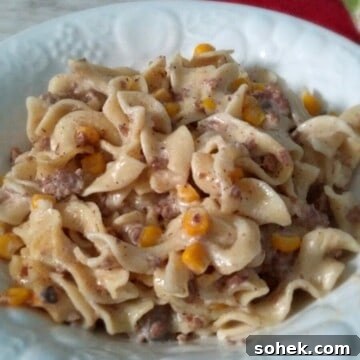 a dish of beef and noodle casserole.