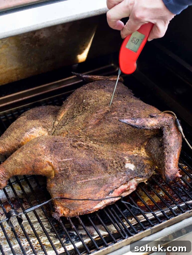 Taking temperature of smoked turkey with a digital thermometer