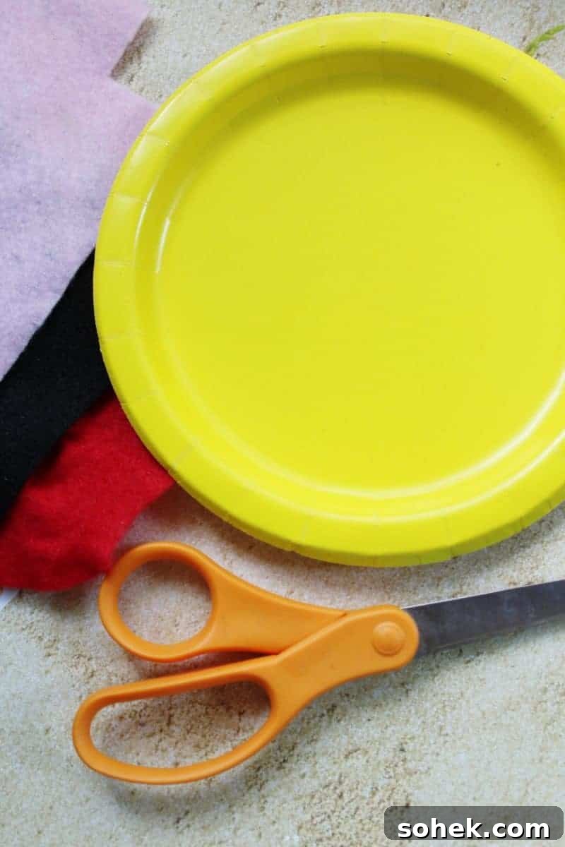 Bright and colorful paper plate fish craft is a fun and easy summer craft idea for children to make at home or in preschool. This easy paper plate craft is made using a paper plate, craft felt or paper, and glue.