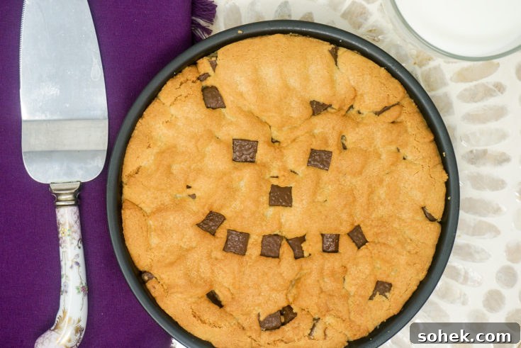 Air Fryer Chocolate Chip Cookie