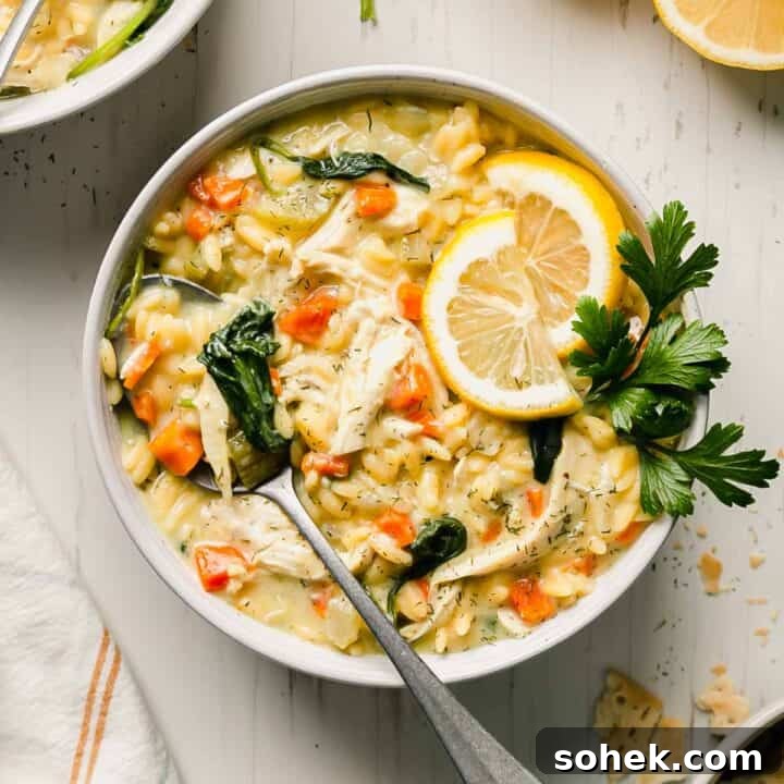 Gluten free lemon chicken orzo soup.