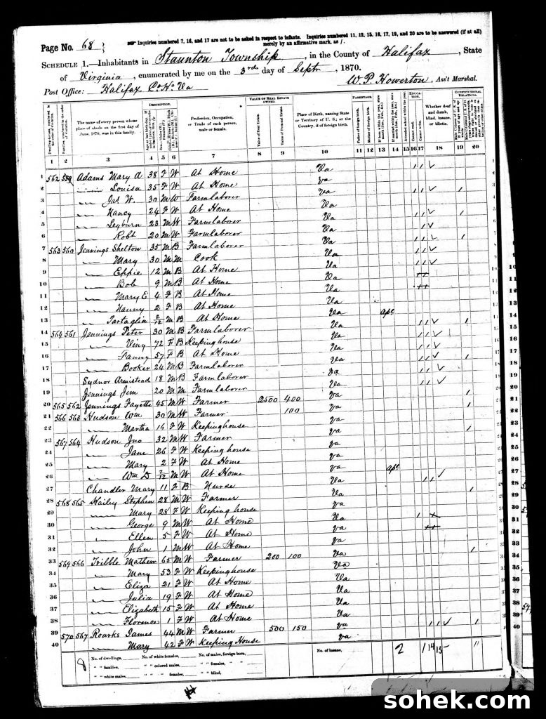 1870 census record for Staunton Township, Halifax County, VA. Census records are vital records in tracking an ancestor who changed his name.