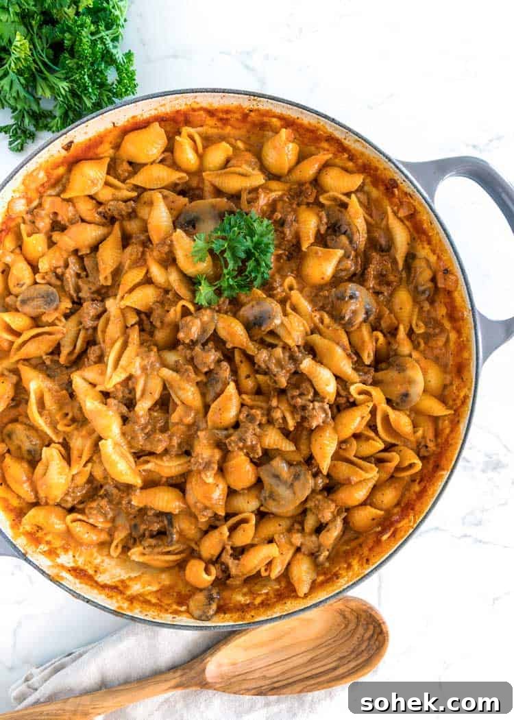 overhead photo of Creamy Beef Pasta