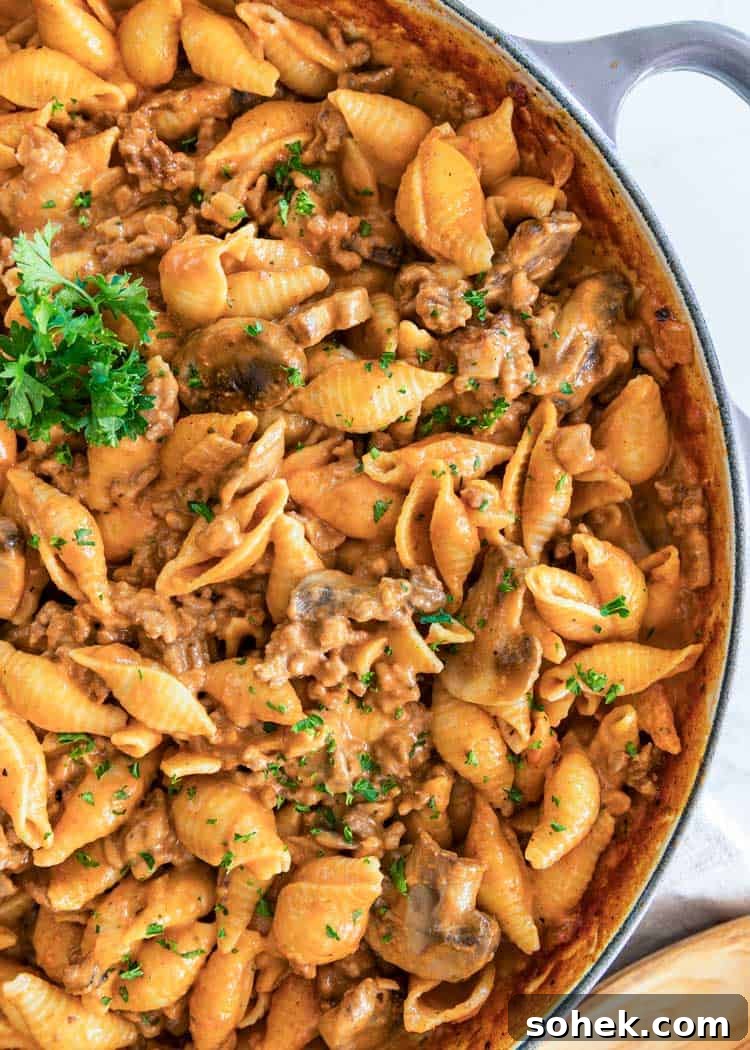 overhead close up of Creamy Beef Pasta