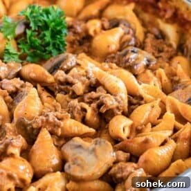 close up of Creamy Beef Pasta