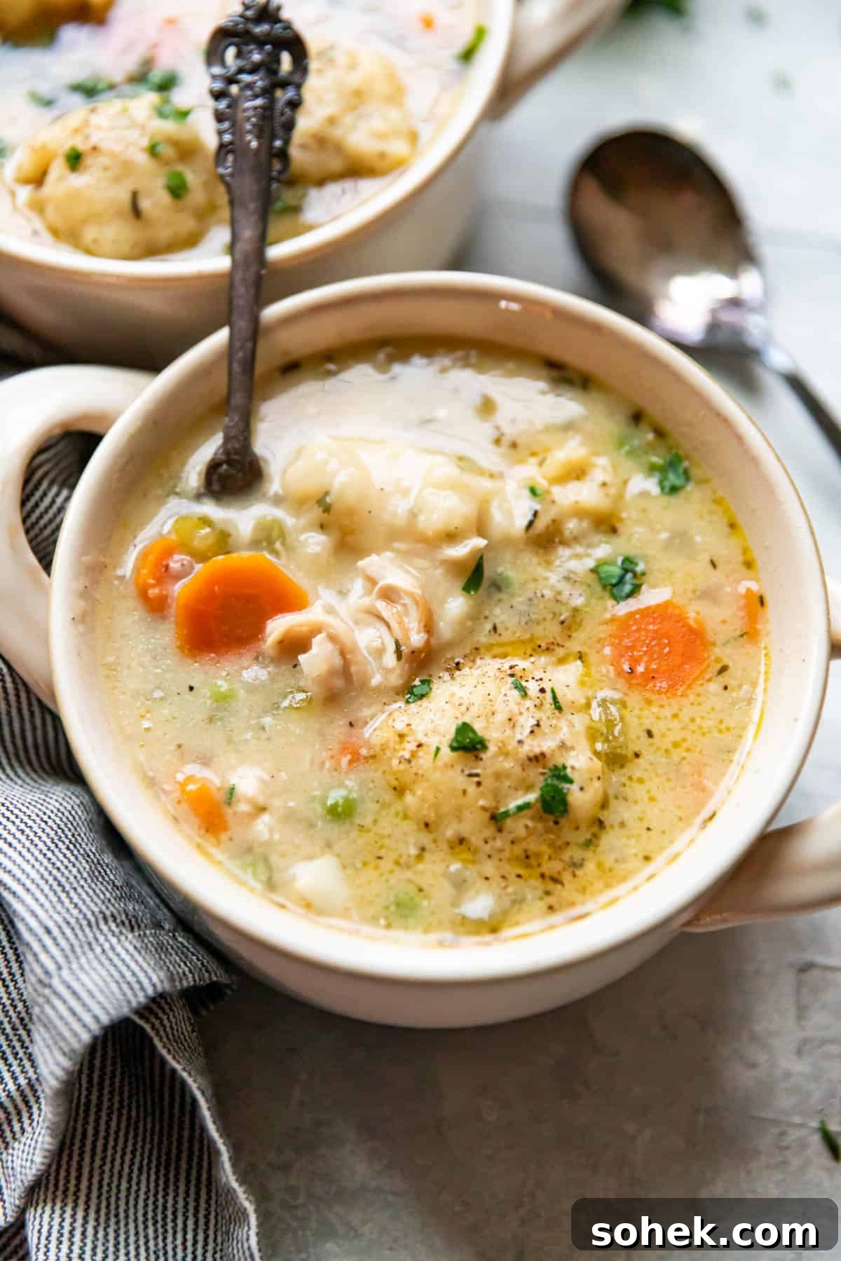 chicken and dumplings in a bowl.
